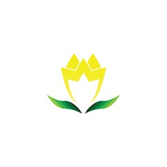 Vector illustration icon of beautiful tulips with white background