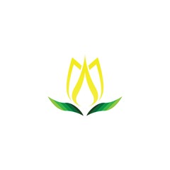 Vector illustration icon of beautiful tulips with white background