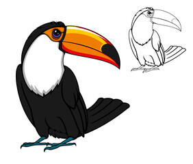 Cartoon toucan bird and outline vector silhouette. Exotic tropical bird mascot for sport club, for kids and zoo © Vector Tradition