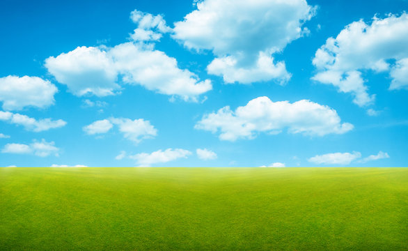 blue sky and summer green field idyllic landscape