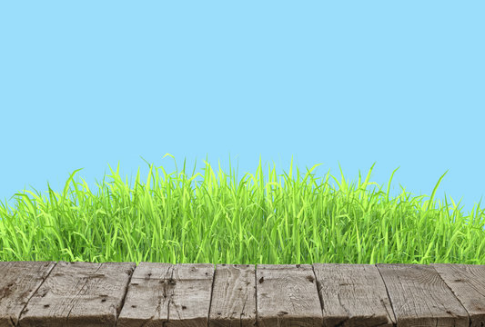 Wooden table and spring grass background