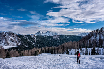 Fototapeta na wymiar Trentino, panorama dolomitico nel Primiero
