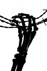 Silhouette of death