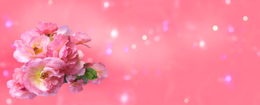 Bouquet of pink roses with a bud on a pink background with bokeh, mockup for greeting card Happy Valentine's Day, Mother's Day, banner, background, copy space