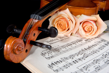 Fototapeta premium Bridal strings