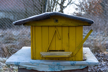 January on an apiary, Frozen yellow beehive with bees.