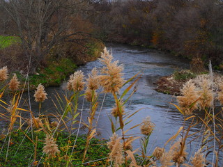 Río Jarama en su paso por Arganda del Rey