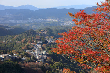 吉野山-上千本-紅葉-11月