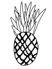 Simple black pineapple outline on white background. Minimalism element of fresh tropical tasty and vitamin fruit pineapple. Hand drawn vegan and healthy fresh vitamin food stock vector illustration. 