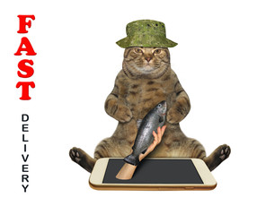 The beige cat is taking fish from the phone. Fast delivery. White background. Isolated. 