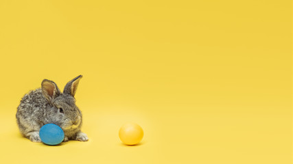 Egg hunt is coming. Adorable Easter bunny near by painted eggs isolated on yellow studio background, flyer for your ad. Greeting card with copyspace. Concept of holidays, spring, celebrating.