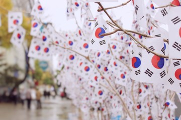 Many of South Korea flags on the street with copy space for text