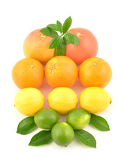 Citrus fruits isolated on white background. Lemon, orange, lime.