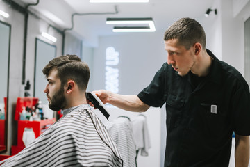 Obraz premium Barber cut client's hair with a clipper in his hands. Barber works in a barbershop , create a stylish hairstyle for a bearded man. Barber shop concept