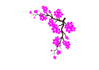 Cherry Blossom Background Sakura Flowers Pink On Branch Flat Vector Illustration.A curved branch with delicate flower and cherry buds.
