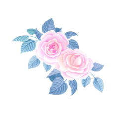Watercolor Pink roses. Watercolour floral composition on a white background.Illustration of flower.