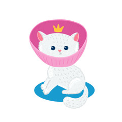 Pet insurance. Little cute white kitten in pink veterinary collar. Damage to cat. Caring for animal. Poster, banner, brochure, flyer, card. Vector illustration, eps10
