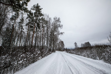 Fototapeta premium road in winter forest grey sky