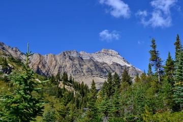 Obraz premium Beautiful rocky mountain with trees and meadows. Sunny day, blue sky, white clouds. Yoho national Park, Rocky Mountains, Canada.