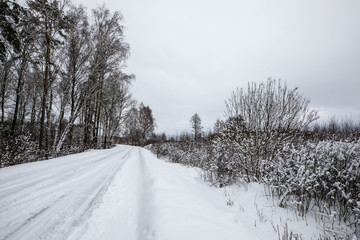 winter road landscape with trees in winter