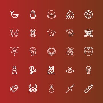 Editable 25 wildlife icons for web and mobile
