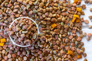 Top view of colorful dry pet food in a white ceramic bowl