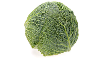Fototapeta premium Organic Savoy cabbage on a white background.
