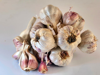 Wiązka czosnek (Allium L.) na białym tle