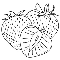 Hand drawing strawberries; doodle berries for stickers, posters, web design. Black and white vector illustration.