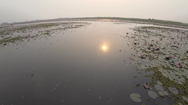 Udon Thani,Thailand-January 24, 2020: Morning scene of Red Lotus Lake or Talay Bua Daeng in Udon Thani, Thailand