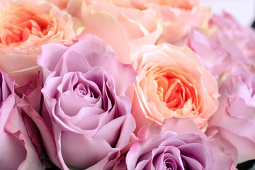 Fototapeta na wymiar bouquet of hybrid tea roses and floribunda