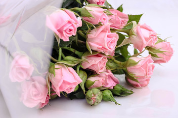 little pink roses