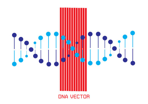 DNA spiral. Adn helix structure, genomic model and human genetics code. Genome alteration, chemistry adn gen research. Vector isolated illustration set