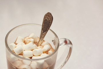Fototapeta na wymiar Winter homemade hot drinks chocolate with marshmallow.