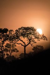 Beautiful sunset in South Africa game reserve