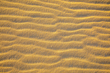 Fine sand texture - Sandy sunny beach for background - Top view - Full frame shot - Close-up sun sand texture on beach in summer – desert dune golden yellow - travel holiday vacation Close up