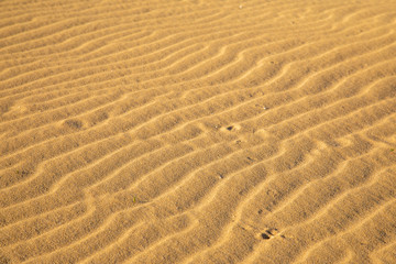 Fine sand texture - Sandy sunny beach for background - Top view - Full frame shot - Close-up sun sand texture on beach in summer – desert dune golden yellow - travel holiday vacation Close up