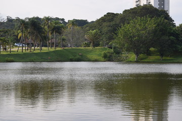 lake in park
