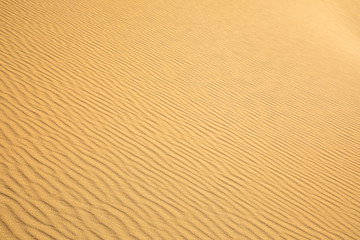 Fine sand texture - Sandy sunny beach for background - Top view - Full frame shot - Close-up sun sand texture on beach in summer – desert dune golden yellow - travel holiday vacation Close up