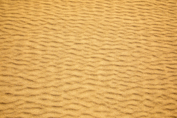 Fine sand texture - Sandy sunny beach for background - Top view - Full frame shot - Close-up sun sand texture on beach in summer &ndash; desert dune golden yellow - travel holiday vacation Close up