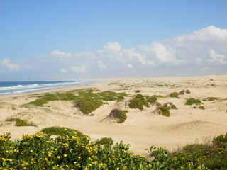 Dunes de sable plage Conjola Shoalhaven, New South Wales, Australie