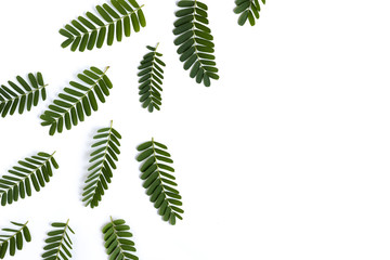 Flat lay top view  frame made of branches on white background