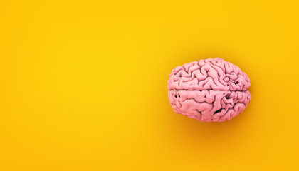pink brain on yellow background