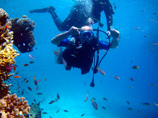 Man scuba diver and beautiful colorful coral reef underwater