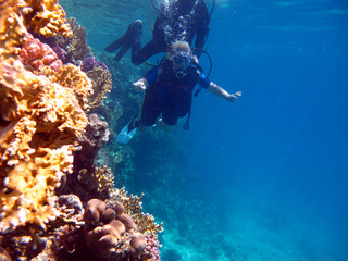 Woman scuba diver and beautiful colorful coral reef underwater