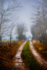 Obraz premium Strada nella nebbia