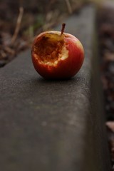 Bitten apple on the street.