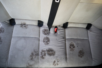 Dry cleaning machine. Footprints of a dog in the seat. Dirty paws. Car wash.
