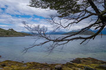 Coastal landscapes, Tierra del Fuego National Park, Ushuaia, Argentina