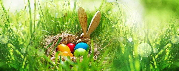 Meadow with colorful easter eggs - obrazy, fototapety, plakaty